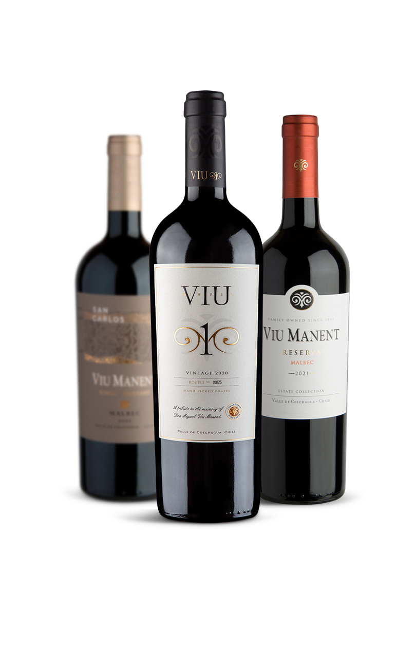 Bodega Viu Manent