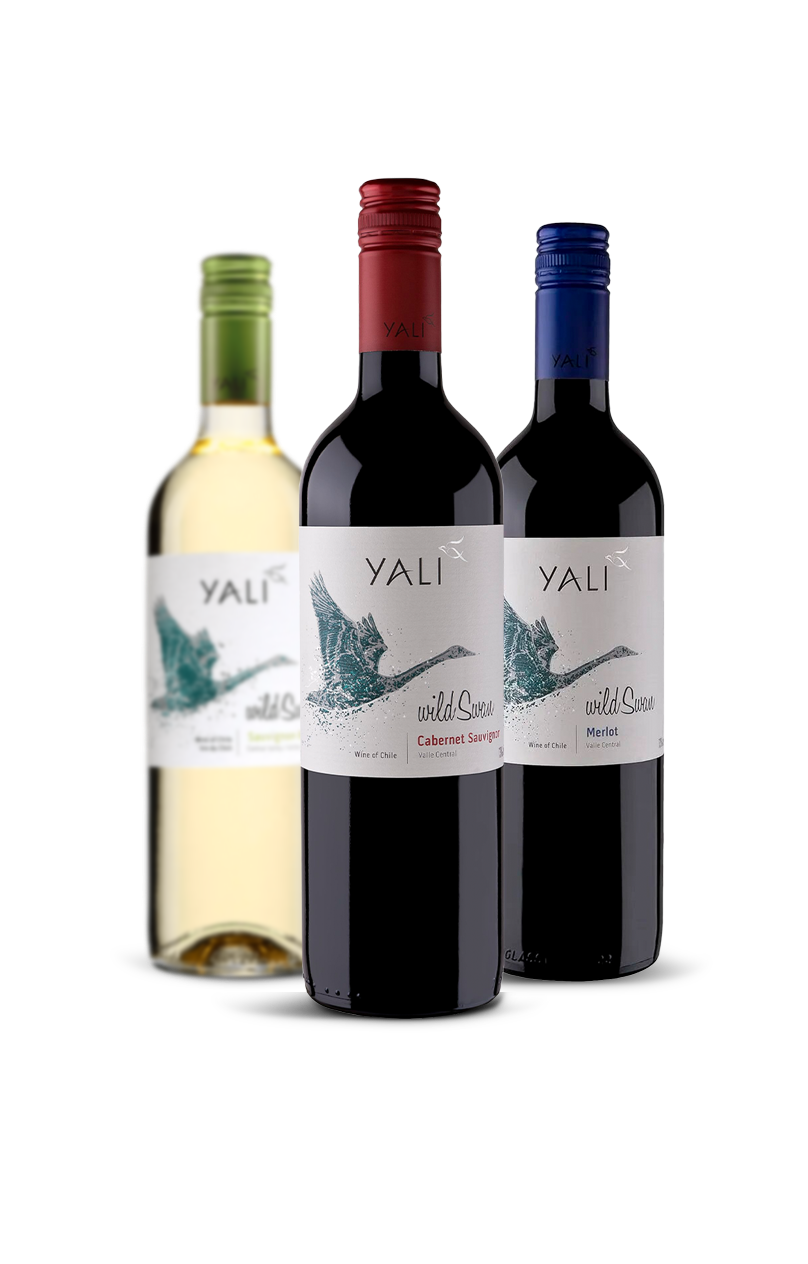 Bodega Yali
